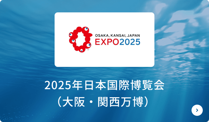 2025年日本国際博覧会（大阪・関西万博）