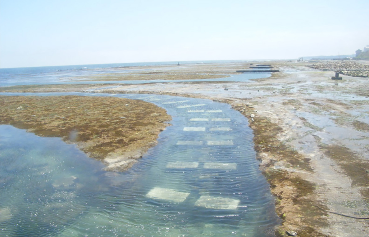 Aquaculture farms