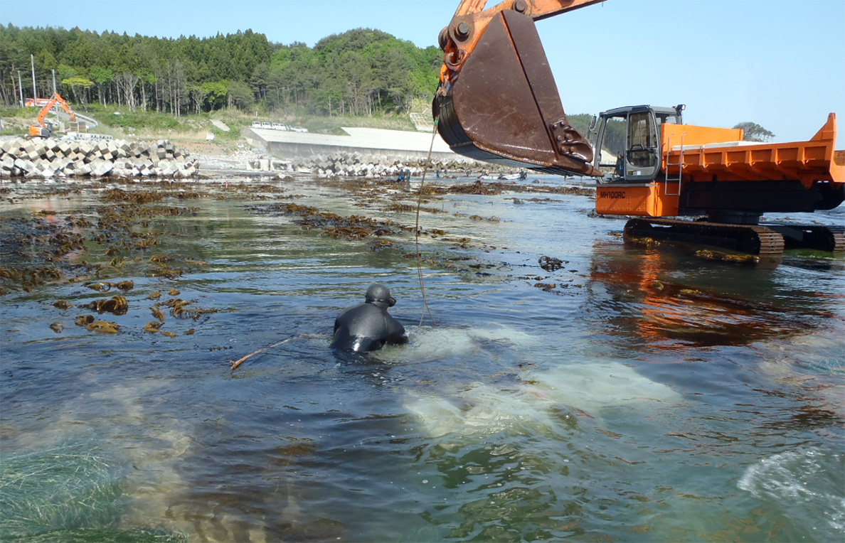 Aquaculture farms